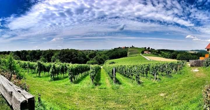 Turisticna Kmetija Puklavec Villa Zasavci Kültér fotó